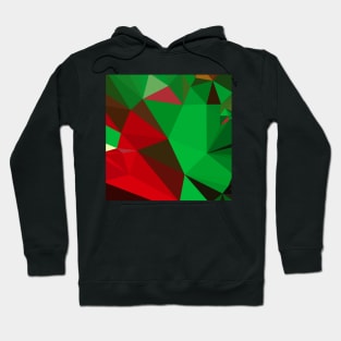 Dark Pastel Green Abstract Low Polygon Background Hoodie